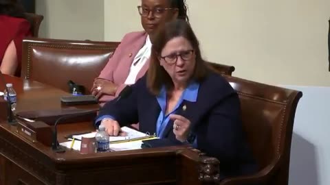 Rep. Julie Johnson says National Guard members were shot in the head in a terror attack