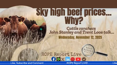 Sky High Beef Prices - Why?