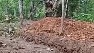 🔥⚔️ Cambodia Thailand Border Clash | Royal Cambodian Army vs Royal Thai Army Firefight | RCF