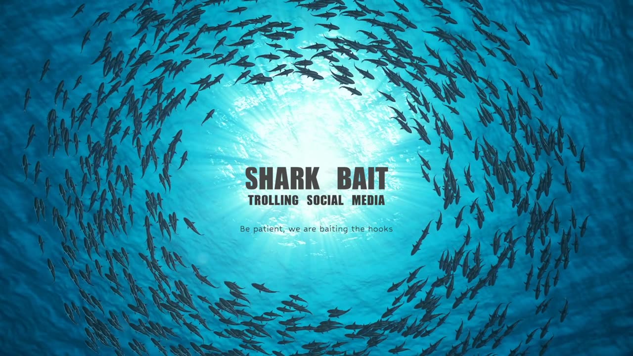 Shark Bait