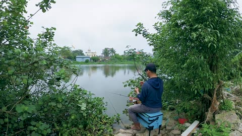 Bluegill Bliss A Family Favorite