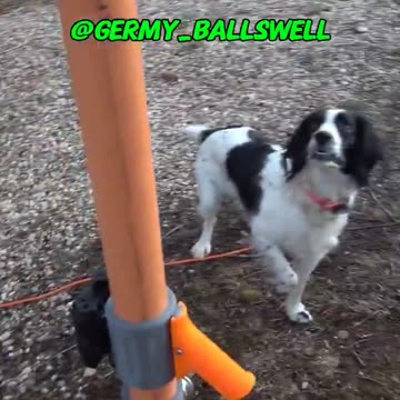 That is damn impressive