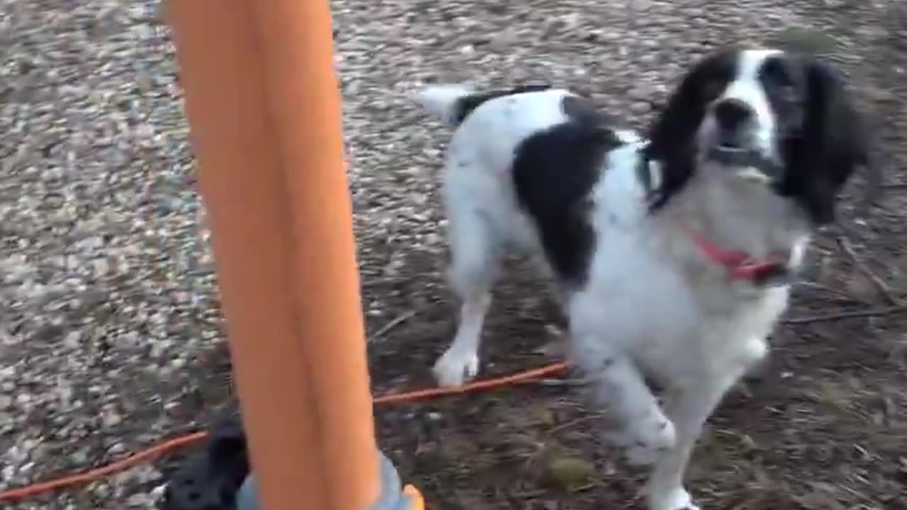 That is damn impressive