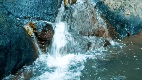 Small Forest Waterfall 🌊 | Relaxing Stream Sounds in Peaceful Nature