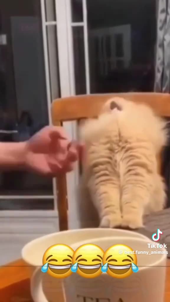 RAMBUNCTIOUS SUNDAY 9/7/25