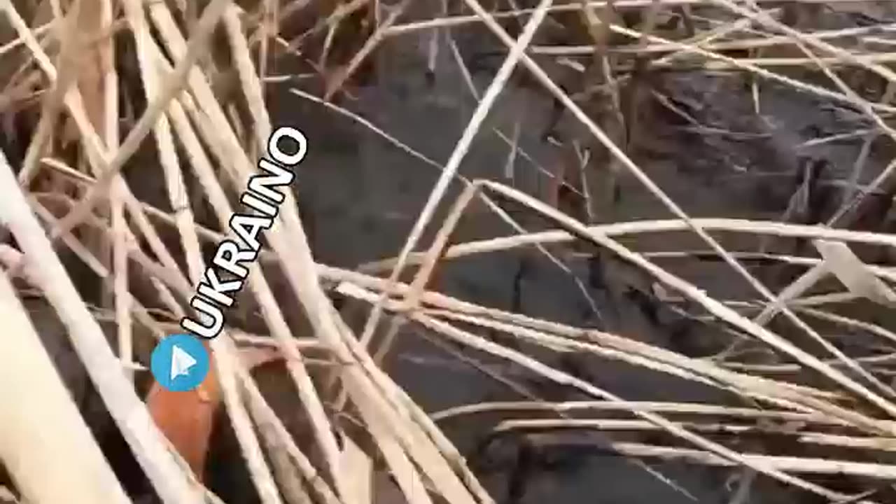 War is hell
