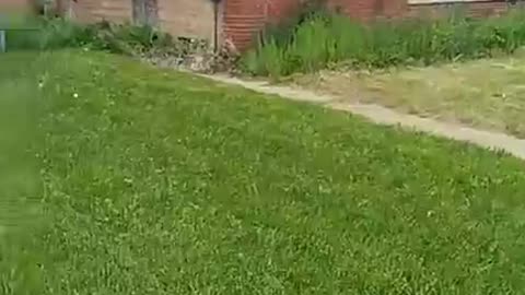 Cassie Crashes Out Over Lawn Care In Dolton!