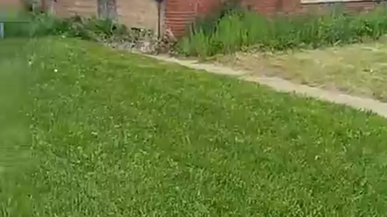 Cassie Crashes Out Over Lawn Care In Dolton!