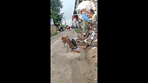 jivdaya mehsana suvichar jain stavan jain suvichar #music #song #live #devotional