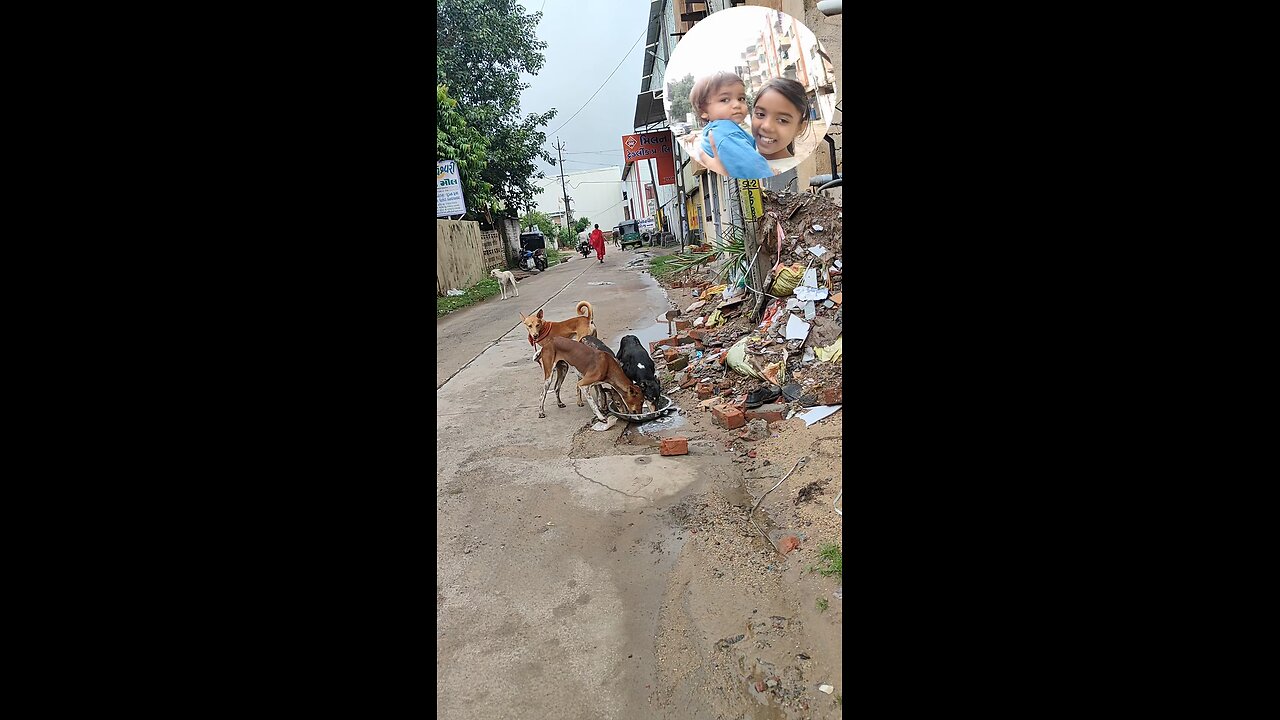 jivdaya mehsana suvichar jain stavan jain suvichar #music #song #live #devotional