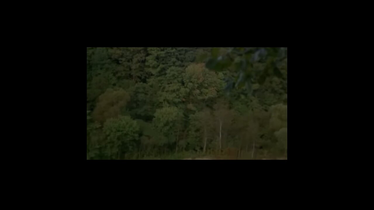 wrong tune dead 4 part