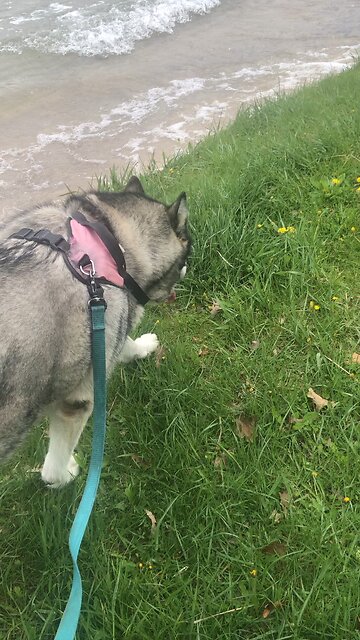 Sunday May 18, I begged the Lord to take It away