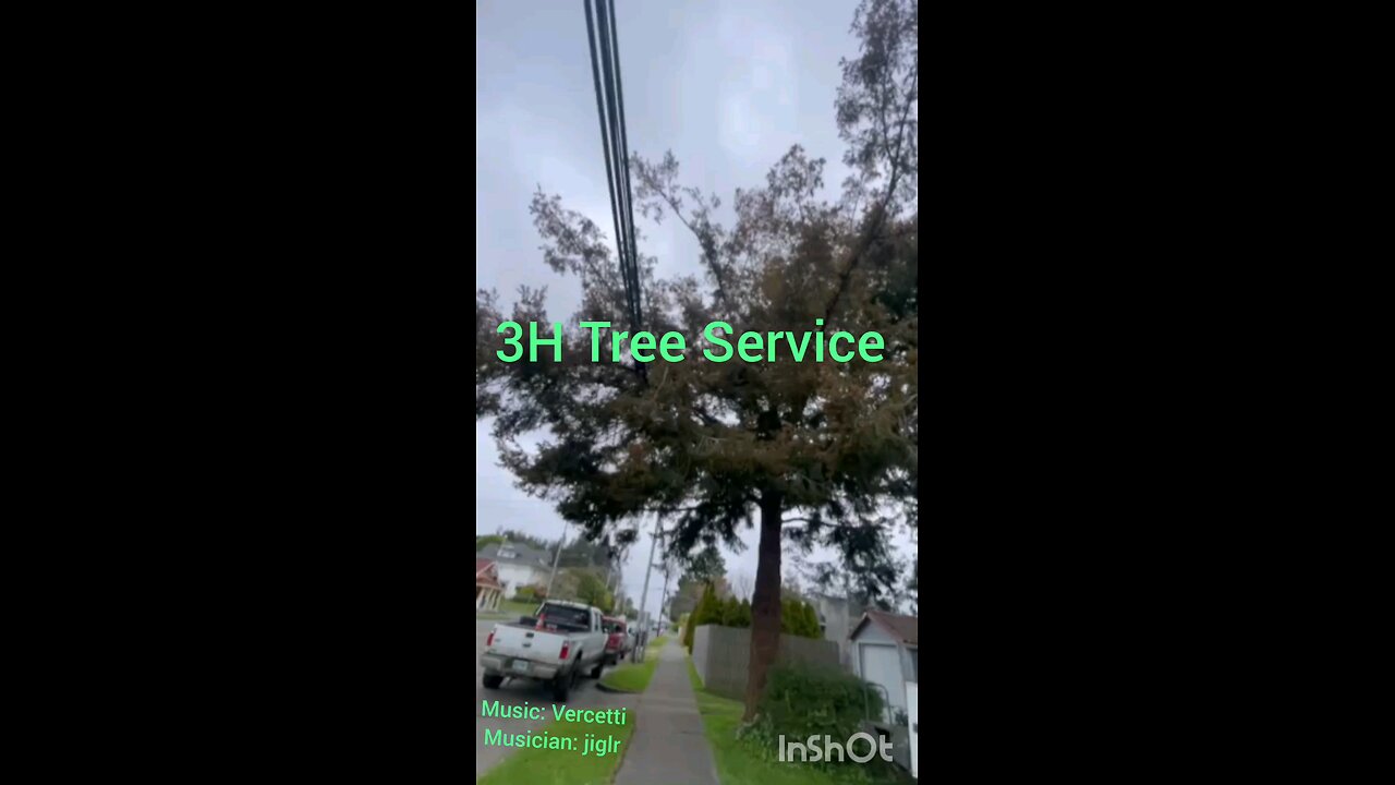tree work