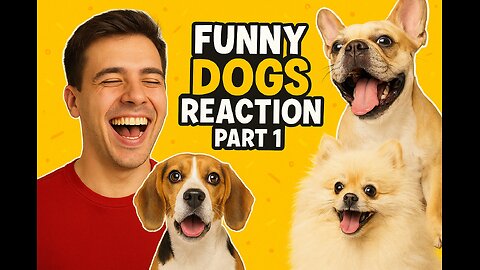 best funny dogs reaction 🤣 part 1