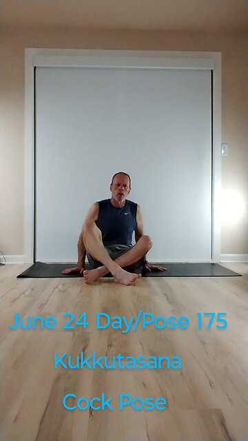 Kukkutasana / Cock Pose