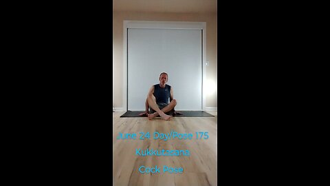 Kukkutasana / Cock Pose