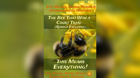 The Bee That Won a Court Trial (Rumble Exclusive)