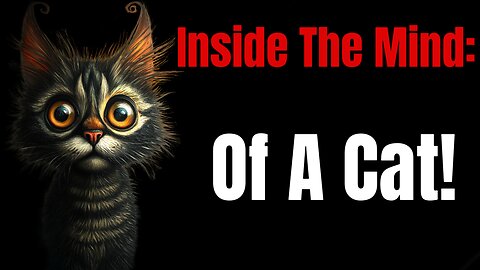 🐾 Inside The Mind Of A Cat | AI-Generated Short Film | Surreal Feline Animation