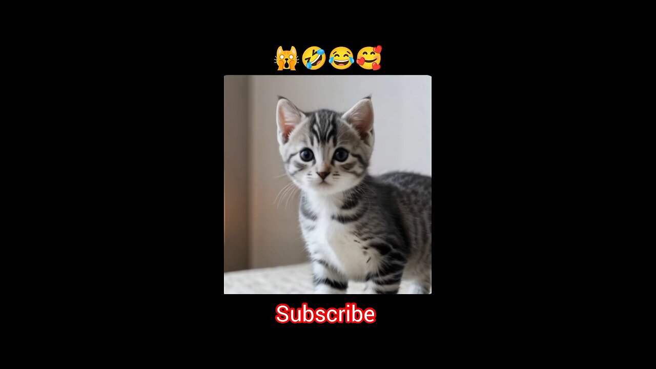 cut cat singing #viral #short