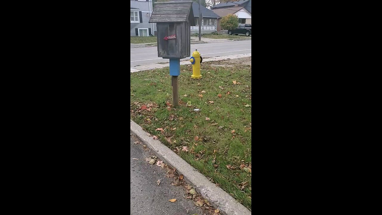A Yellow and Red Little Free Library