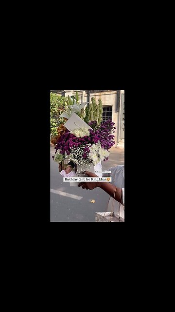 😘🔥Hot Indian stars 😍💦 Hot girl 💕😘😘🔥Hot girl 💕😘Steamy hottie 😍💦Sexy girls 💦🥵Hot Bollywood actors