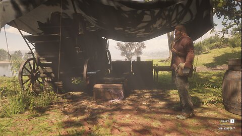 Red Dead Redemption II - Storyline