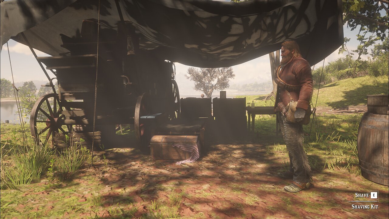 Red Dead Redemption II - Storyline