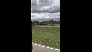 Milla 668 I 10 TX USA accident