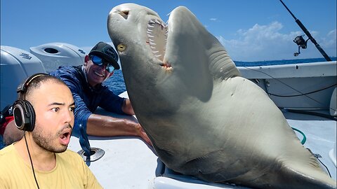 Kalkazian reacts Landshark Outdoors | MASSIVE 10ft Lemon shark! Catch Clean Cook