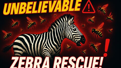 Zebra vs Honeybees: Incredible Rescue You Must See!