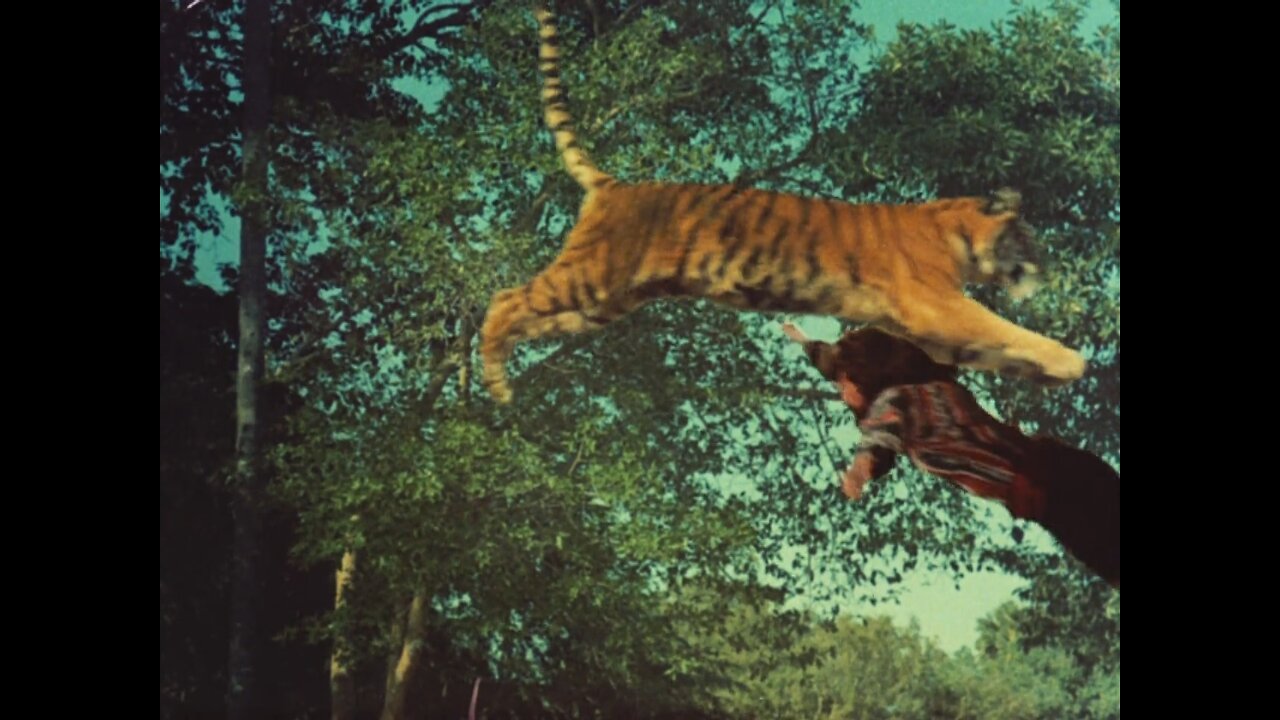 Sandokan -E03 - Lov na tigra (1976.)