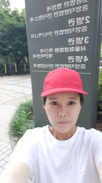 20250703. Fake President.