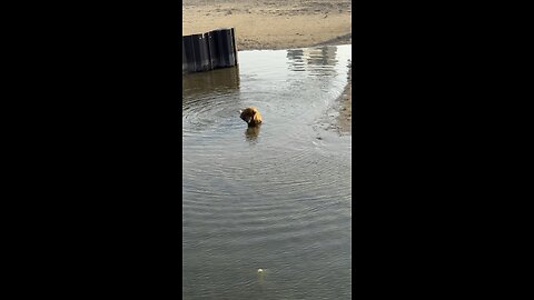 Gone Fishing