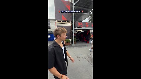 A cat named Furrari has become the biggest star of Formula 1 in Azerbaijan