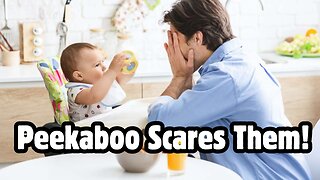 Object Permanence