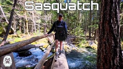 Roaming in the land of Bigfoot