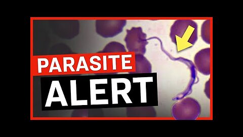 PARASITE ALERT