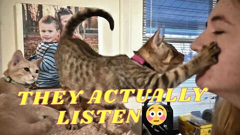 You WON'T Believe What Our NEW Kittens Can Do On COMMAND!