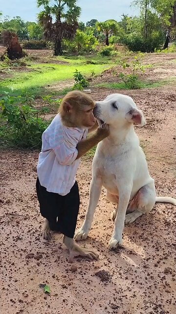 Awesome Video Best SokYaa, OG, Pao & Mom Are Famous Around The World #shorts #anime #trend #edit