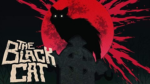 THE BLACK CAT 1966 Psycho Kills Black Cat He Hates & Now He's Haunted by It FULL MOVIE HD & W/S