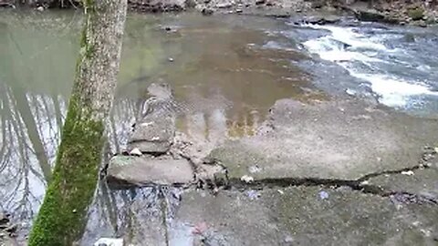 christmas rocks state nature preserve / jacobs ladder