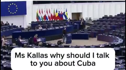 Kallas Got Clocked! | intelectual capabilities of a Hamster 🐹