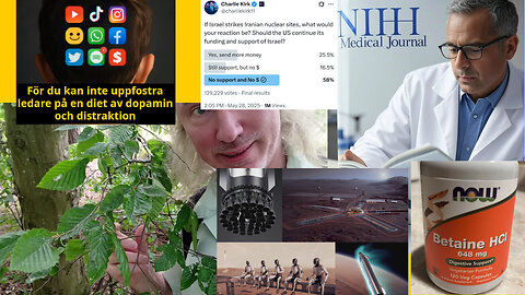 Andning av DMSO. Israelisk infiltration och hot; poularitet ner. Är en 1988-dator på väg mot Mars?