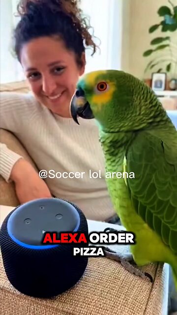 funny parrot