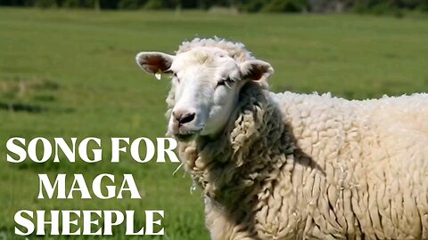 Song for MAGA Sheeple