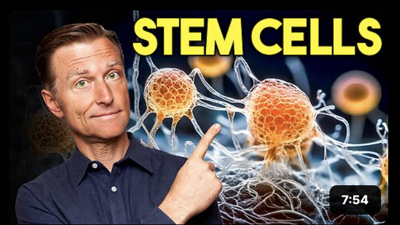 7 Ways to Stimulate Your Stem Cells