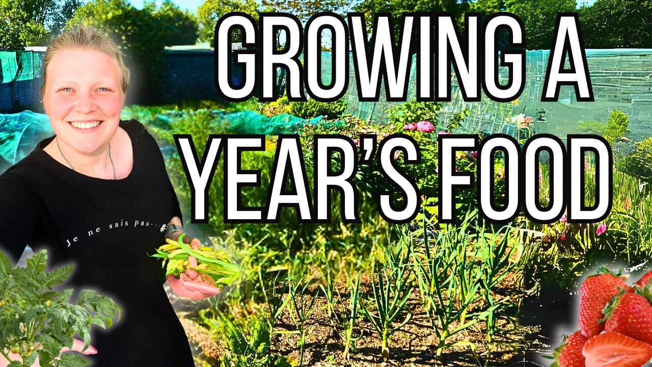 We Grew A Year's Worth Of Food - Here How!