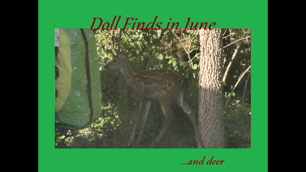 Doll Finds in June