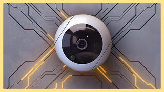 Algorithmic Pricing and the American Social Credit Score