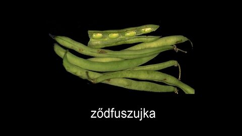 Székely nyelvlecke magyaroknak II.
